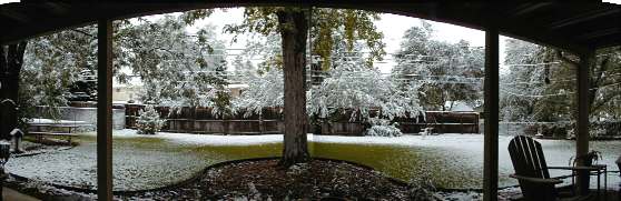back yard, early snow